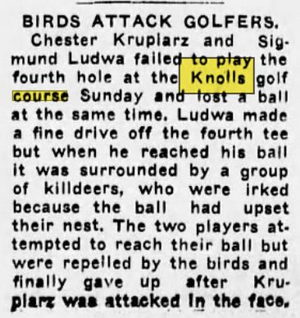 Pine Knoll Golf Course (The Knolls Golf Course) - Jun 29 1936 Bird Attacks